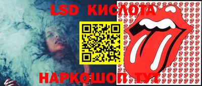 амф Дубна